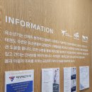용인대태성태권도장