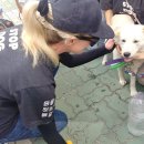 김정연농장 이미지