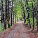 옥화자연휴양림 이미지