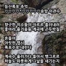 등산폭포 추억 이미지