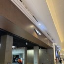 미 앤 스포츠 | [전시장 탐방] 제네시스 하남, GV60 마그마 전시 후기, 마그마 모드 VGS체험하기