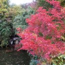 불국사박물관 이미지