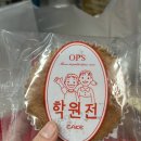 쿠키&빵 | 부산 빵집 맛집 옵스 베이커리 해운대 케이크 쿠키 빵 가격 추천 메뉴 후기