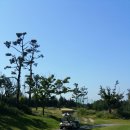 팔봉골프연습장 이미지