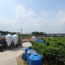 매일농장 이미지