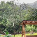 더 밸리 이미지