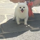 히어로동물병원 이미지