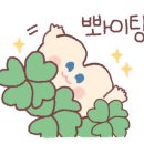 하이닥터 이미지