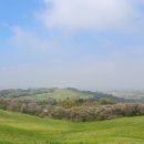 서산농장 이미지