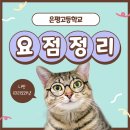 은평고등학교 이미지