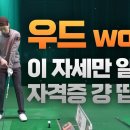 🌄⛳️ 페어웨이우드, 이 동작 모르면 10년 쳐도 싱글 못쳐 이미지