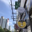 리플리네일