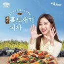 미스터피자제주 이미지