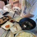 더샵 | [강원/고성] 애견동반 가능한 룸있는 감자전맛집 고성 더샵식당 솔직후기