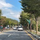 강남300 컨트리클럽 | 경기 광주 CC - 강남300 컨트리클럽, 9월 3부 2인 라운딩 후기