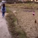 오늘은ㆍ 이미지