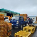 성산일출봉농업협동조합 농산물산지유통센터 이미지