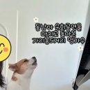 더 신나는 곡으로 쳐보시개 이미지
