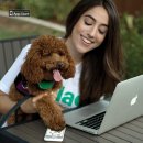 웨그(Wag) 이미지