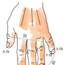 매난국죽한의원 이미지