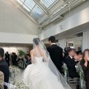 대치2동 주민센터 | 서울 스몰웨딩 밝은홀 트라디노이 웨딩 하객 후기