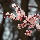 가온요양병원 이미지