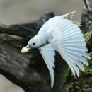 오늘도땡큐 이미지