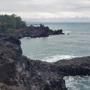 중문대포주상절리대 이미지