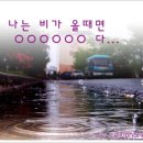 리플비 이미지
