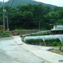 송선2리 이미지