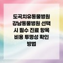 도곡치유동물병원 | 도곡치유동물병원 강남동물병원 선택 시 필수 진료 항목 비용 투명성 확인 방법