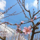 희수농장 이미지