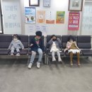 인헌연세약국 이미지