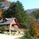 바람소리 이미지