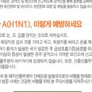 신종 인플루엔자 A(H1N1) 대처방법 이미지