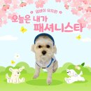 정원유치원 | 서면애견유치원에서 강아지 불리불안 극복 후기