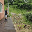 흙진주포도체험마을 이미지