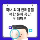 반려마루 동물병원 이미지