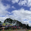 영동국악체험촌_세미나실 | [충북 영동축제] 국악엑스포 국악체험촌 체험 후기