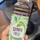 GS25 탄방개나리