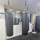 슈가복싱 프리미엄 이미지