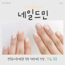 네일드민(Nail de Mean) | 전주 효자동 네일 꼼꼼히 잘하는 곳 웨딩네일 추천 네일드민