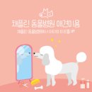 채플린동물병원