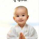하루 이미지