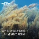 졸라스쿠버