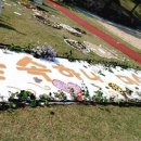 숲속하나몬테소리어린이집 이미지