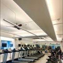 이지휘트니스 이미지