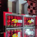 초지역 | 올잇마켓 초지역점 후기 안산 초메푸 메트로단지 과일가게 등장