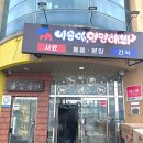 야옹아멍멍해봐 속초점 이미지