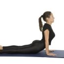 자세교정 스트레칭 이미지